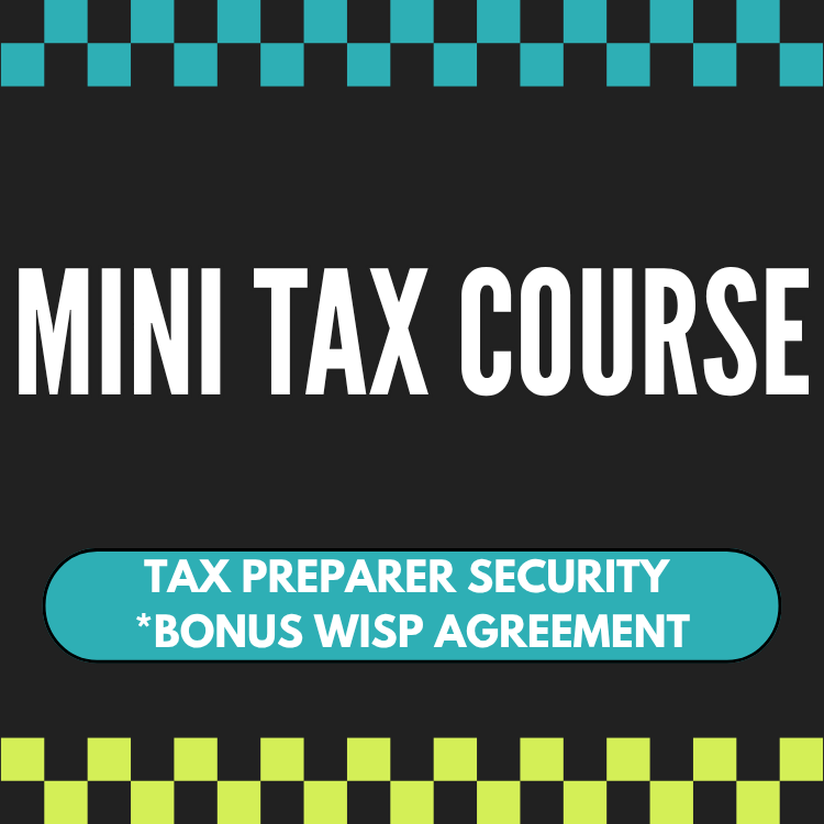 Mini Instructor Course: Tax Preparer Security + Bonus WISP